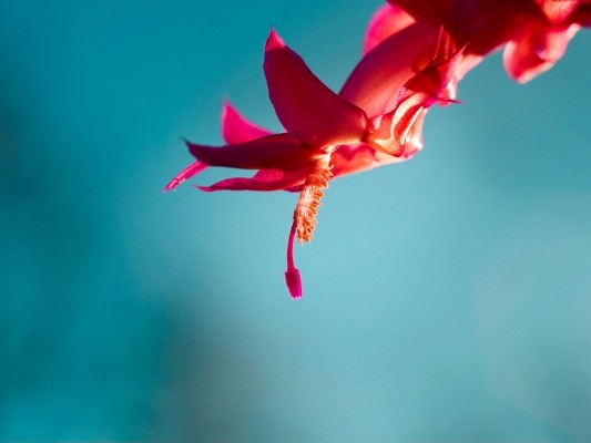 溫度監(jiān)測、溫度閉環(huán)控制7
